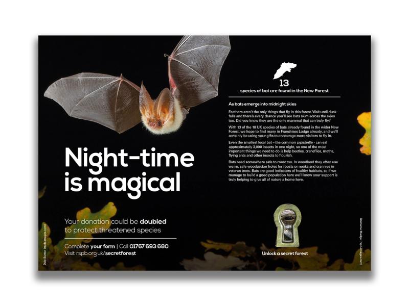 RSPB Secret Forest campaign leaflet inner spread with an image of a bat at night with the caption "Night-time is magical".