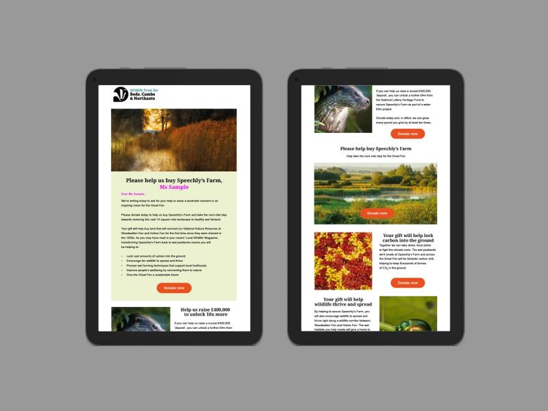 The Wildlife Trust - Email campaign newsletter superimposed onto a two side by side tablet devices.
