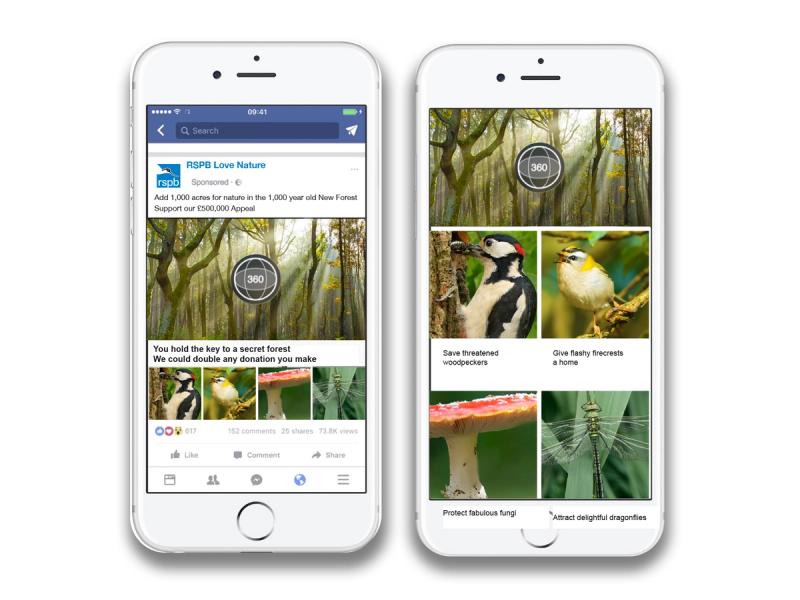 RSPB Secret Forest campaign social media posts superimposed over two side by side devices.