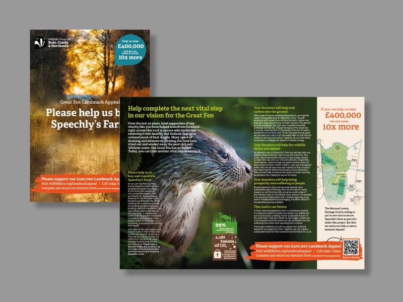 The Wildlife Trust - Brochure cover with inner spread overlayed showing an otter looking to the right.