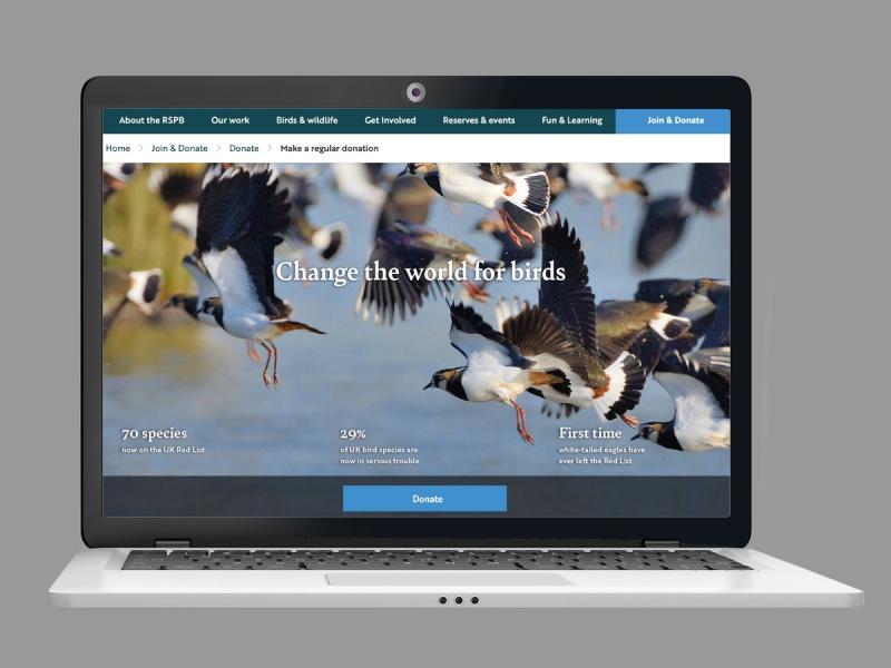 RSPB Red List appeal website landing page showing a flock of birds in flight with the message "Change the world for birds".