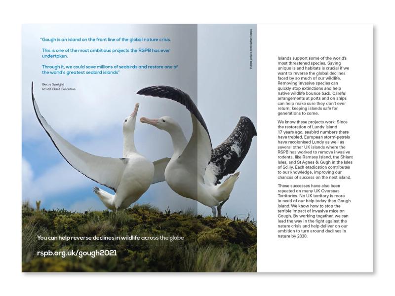 RSPB Gough Island appeal brochure inner spread with an Albatross pair flapping their wings playfully at each other with surrounding campaign text.