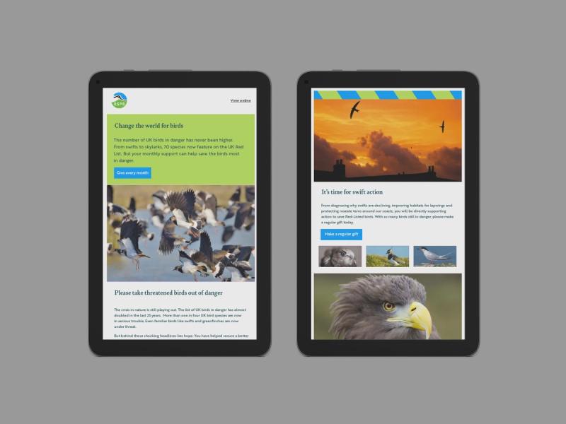 RSPB Red List appeal email campaign newsletters superimposed onto two side by side tablet devices.