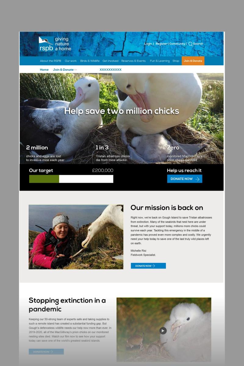 RSPB Gough Island appeal website landing page top half fading out towards the bottom.