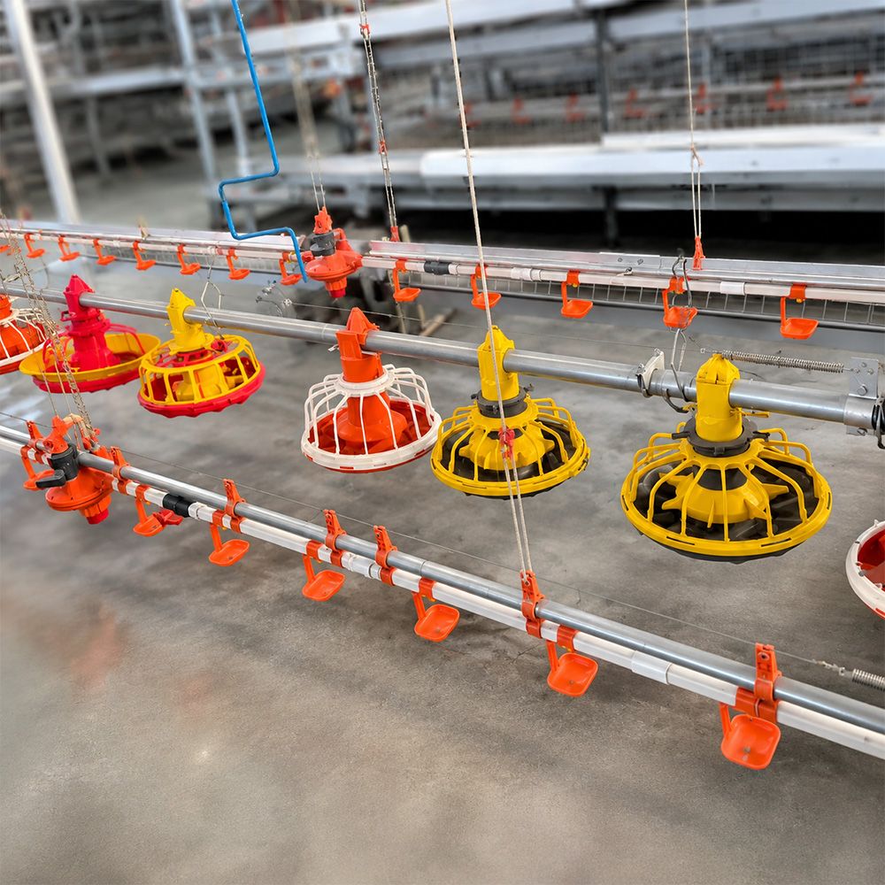 Feeding Line System