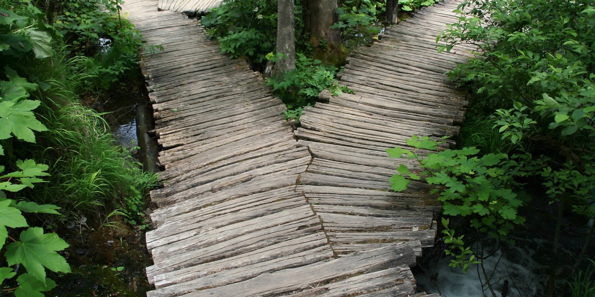 Pathsways going in different directions