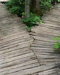 Pathsways going in different directions
