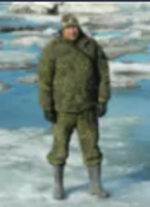 Andrey Gribov