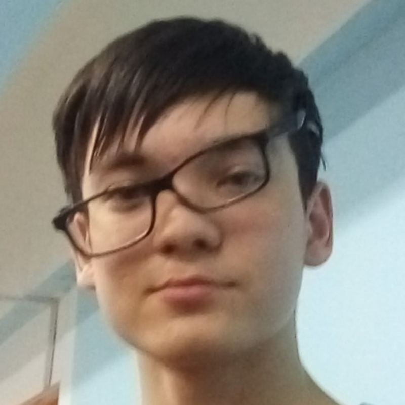 Шавкин Дамир Дмитриевич