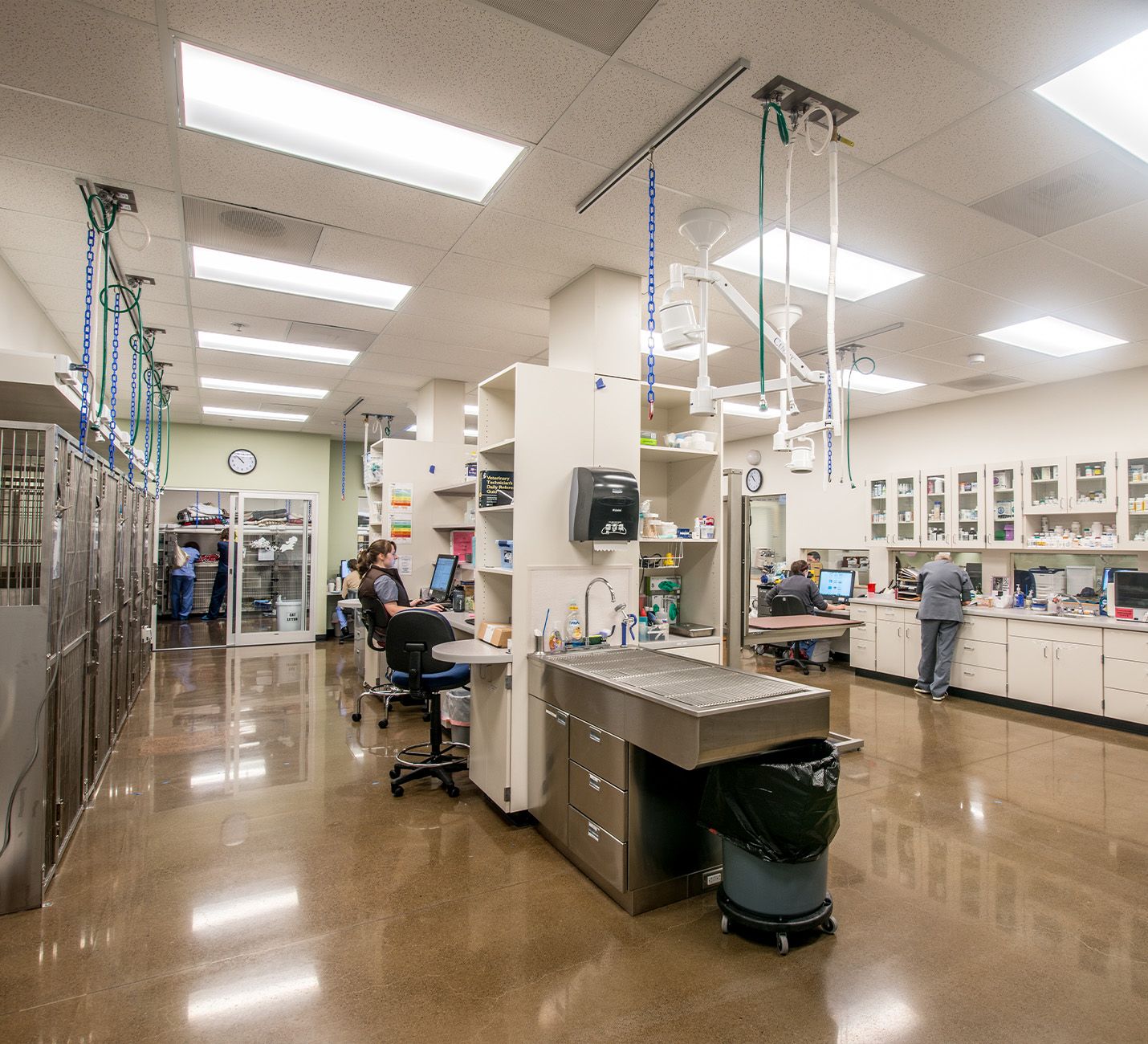 Looking at the lab area of the Columbia River Vet Specialist.