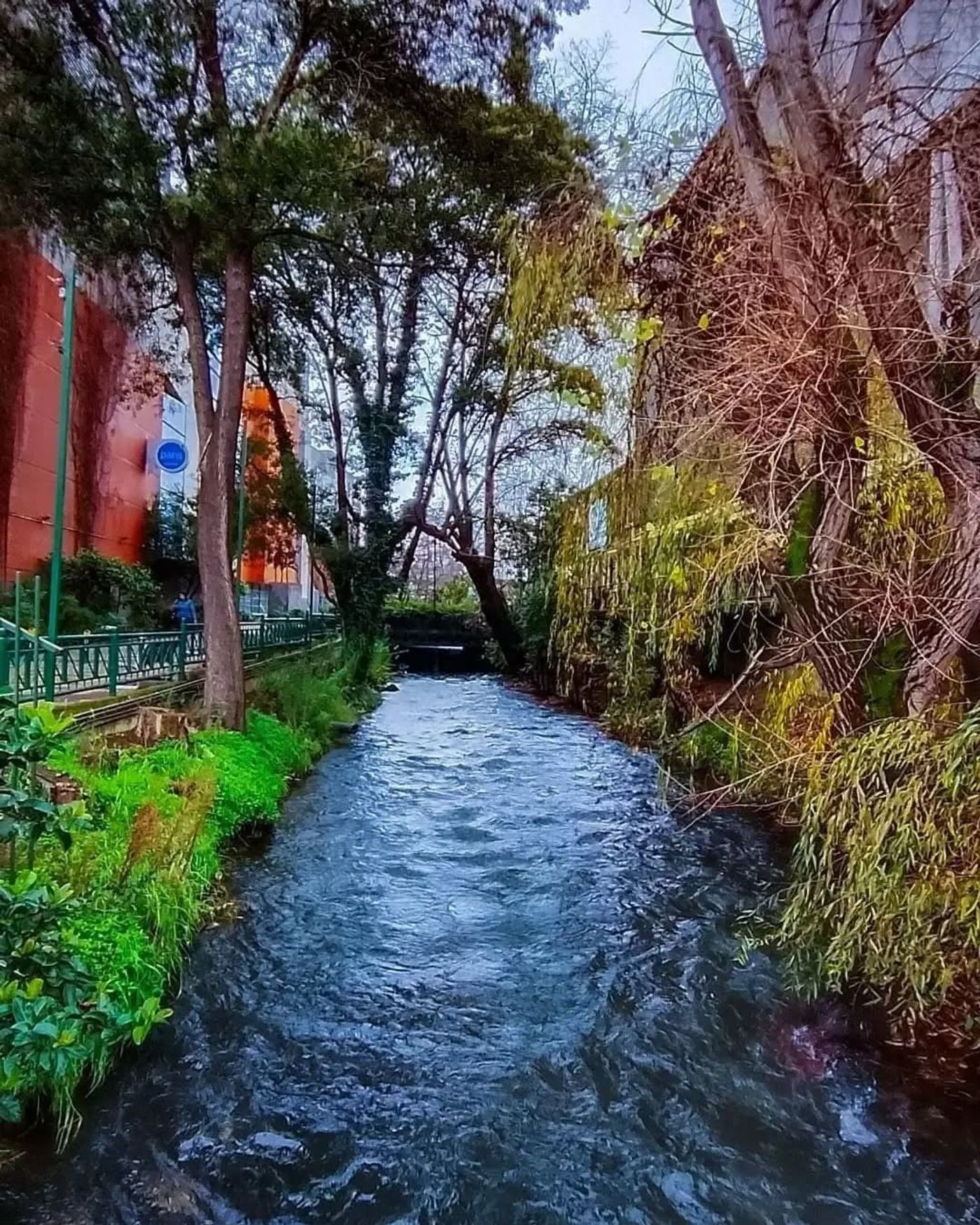 Estero Quilque en el centro de Los Ángeles