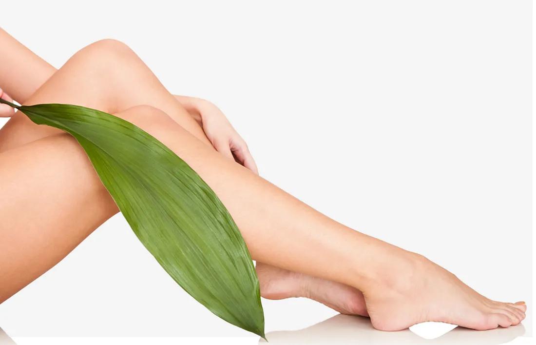 Waxed Legs