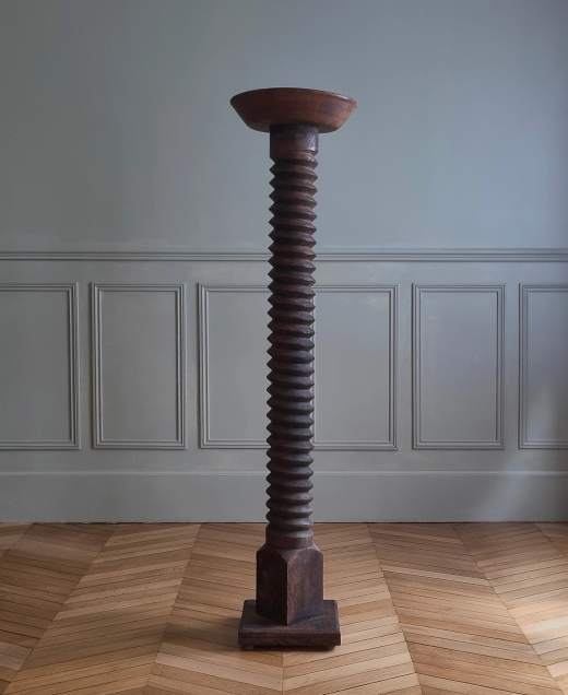 Screw press column