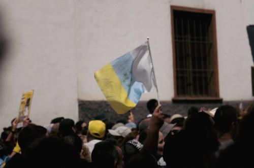 Protest in the canary islands