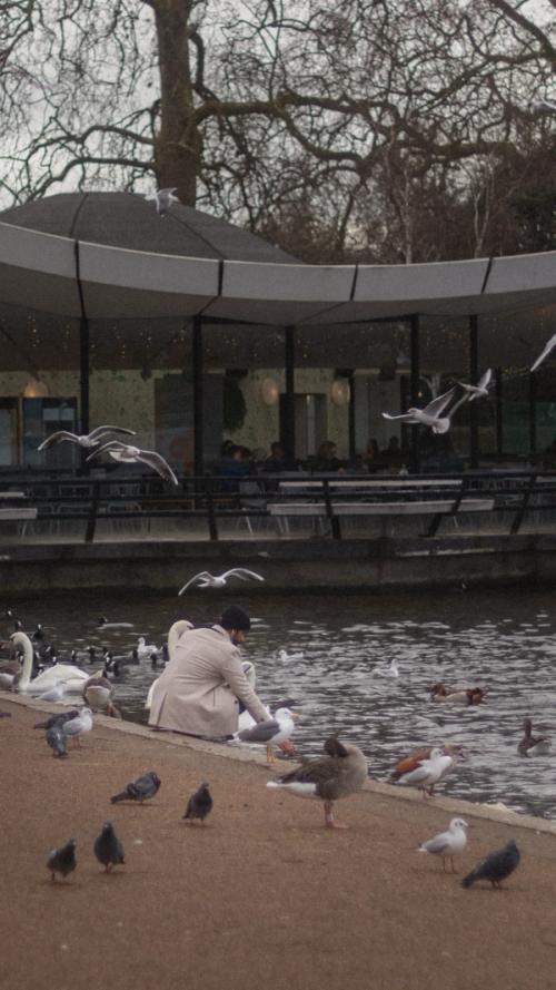 Person feeding in hyde park