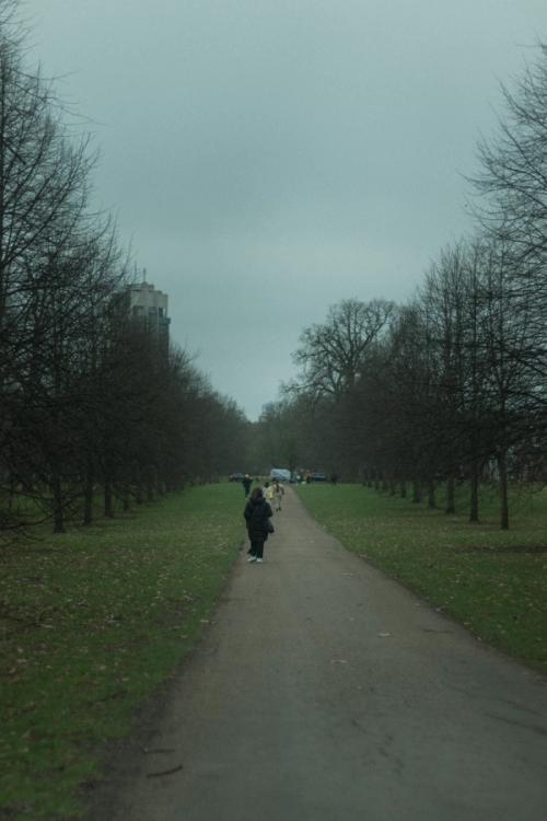 Person in Hyde Park surrounded by trees