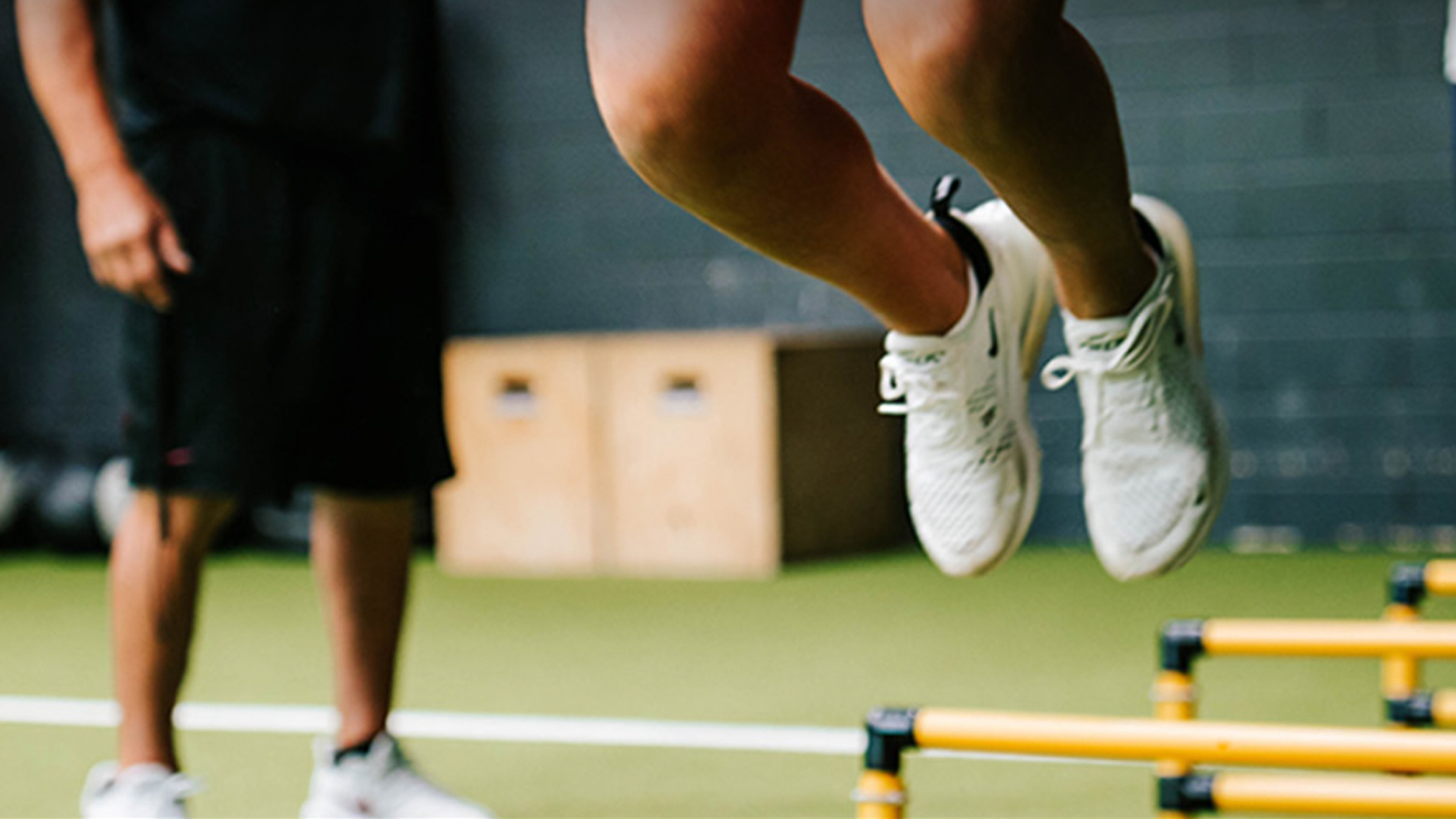 Movement & Flexibility Training 