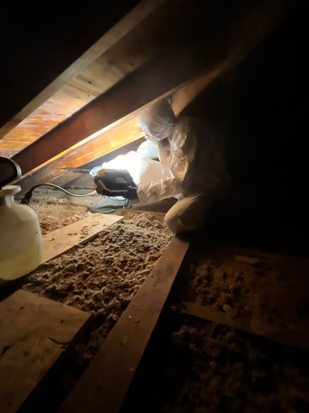 Actual Ranger Recovery project — Attic Mold Removal & Remediation Wellsville