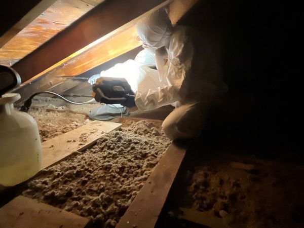 Attic Mold Removal & Remediation Wellsville