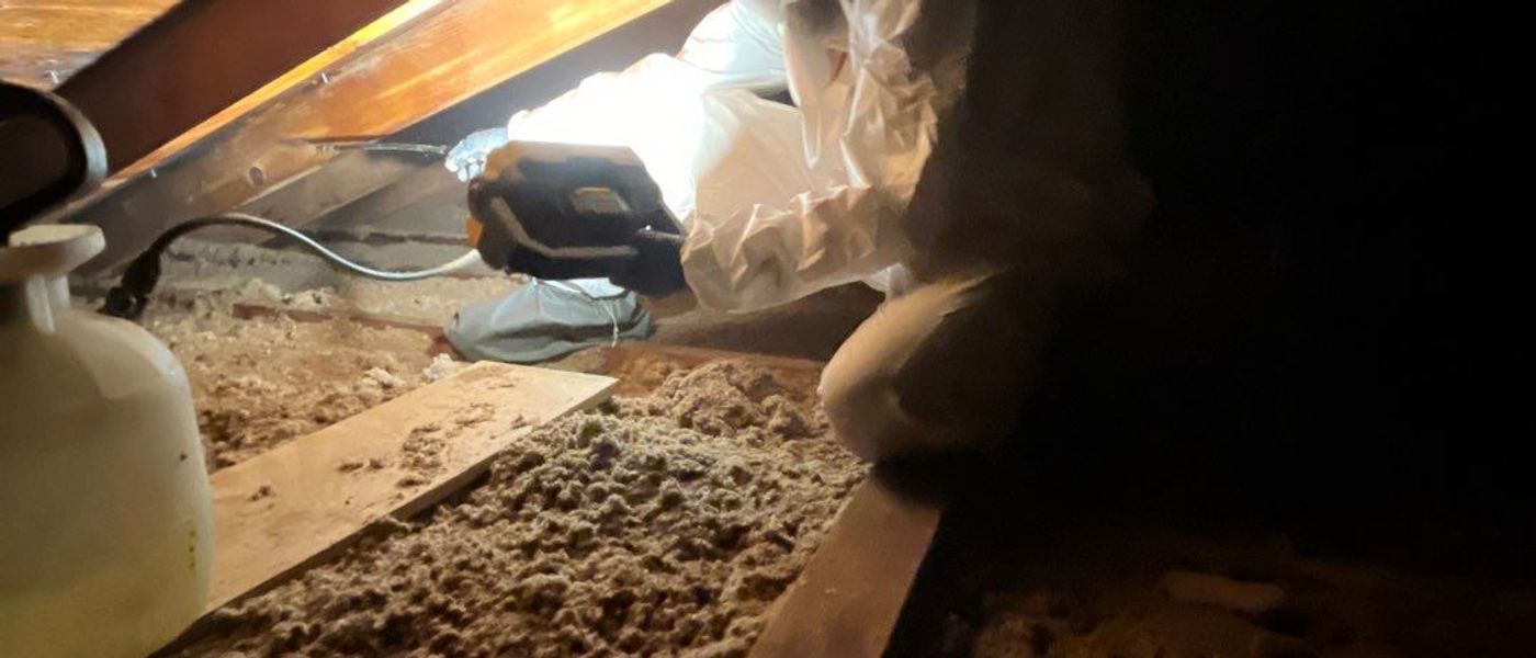 Attic Mold Removal & Remediation Wellsville