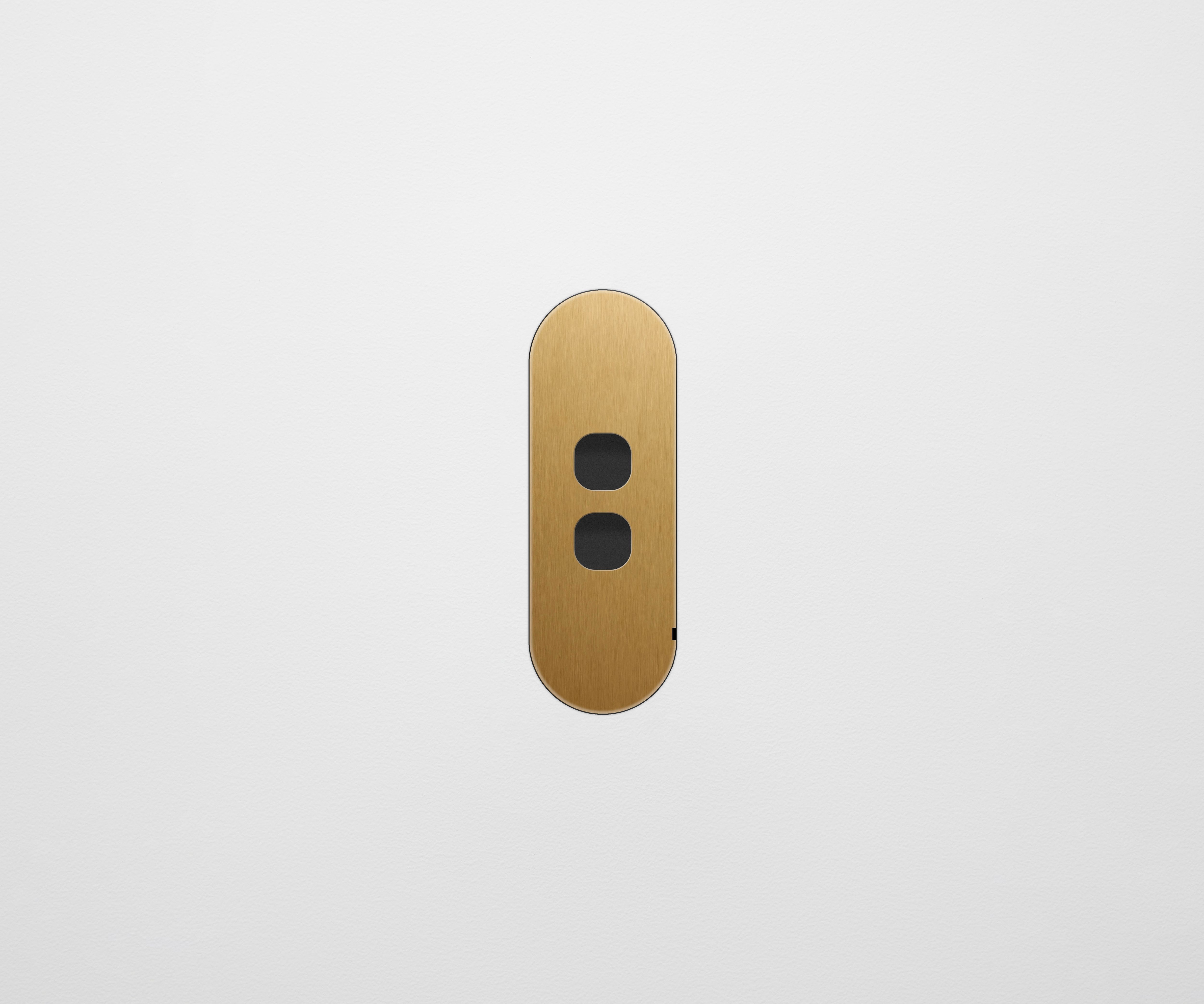 ZETR 2 Gang Switch Faceplate Brass