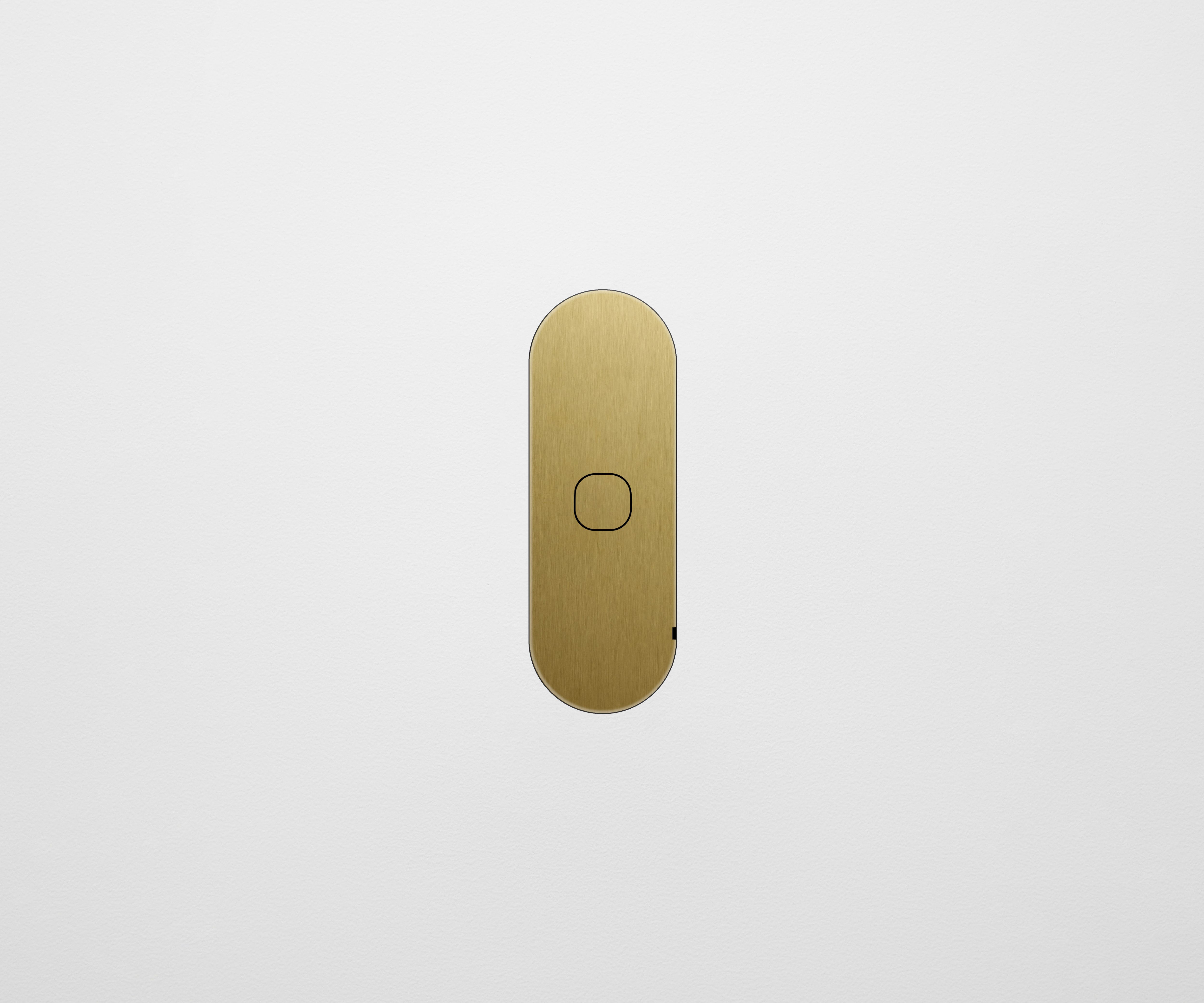 ZETR 1 Gang Casambi Control Switch Brass