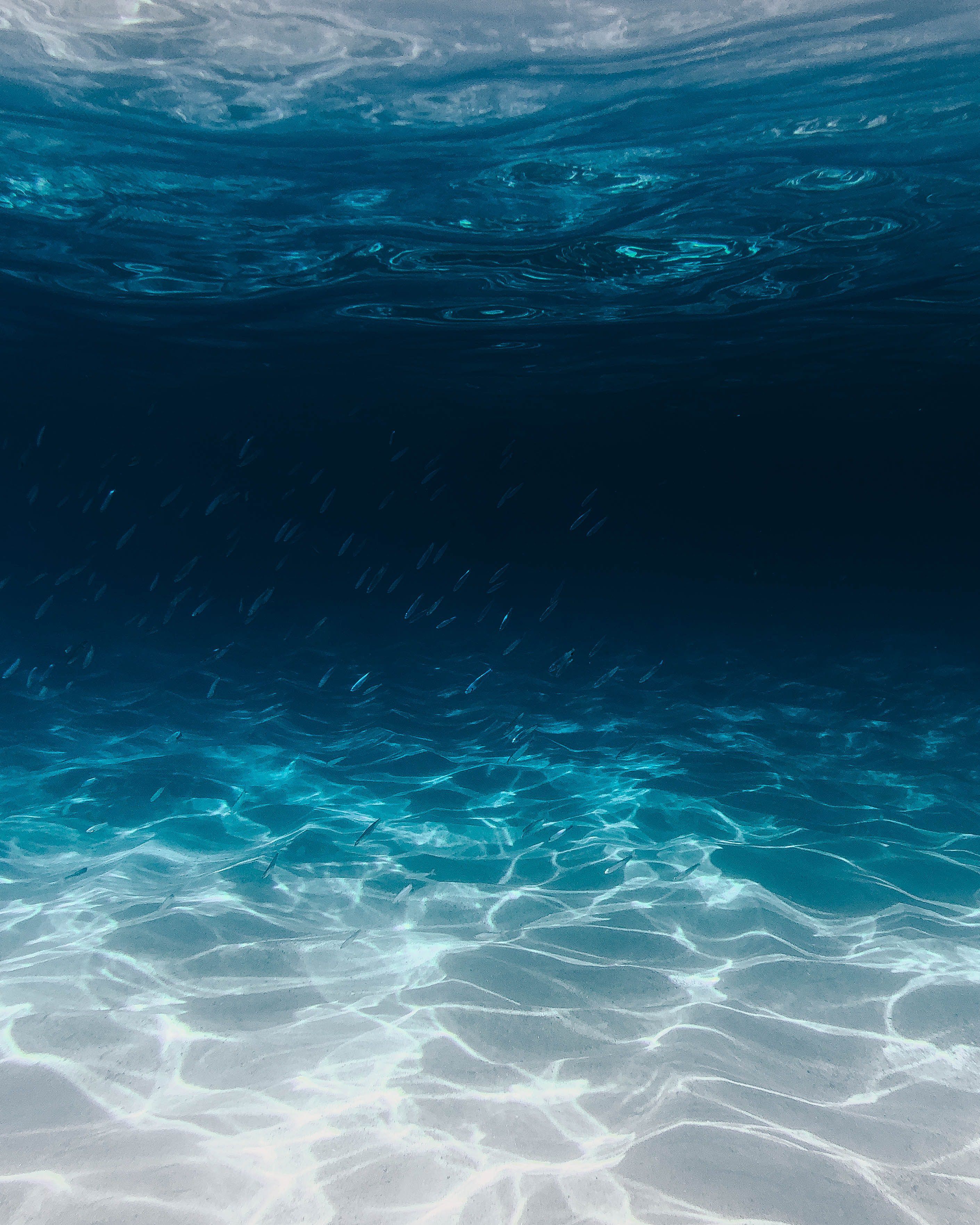 Águas cristalinas do oceano e seus ecossistemas marinhos