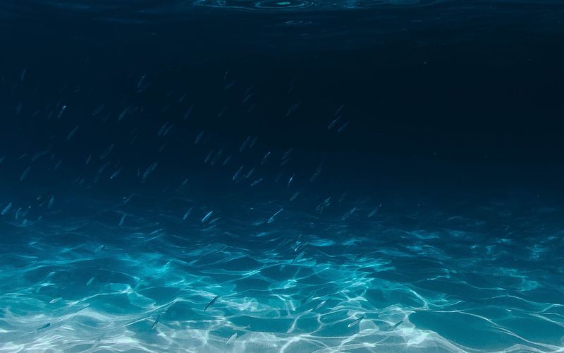 Águas cristalinas do oceano e seus ecossistemas marinhos