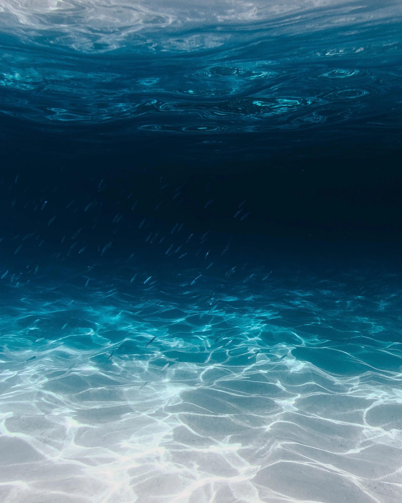 Águas cristalinas do oceano e seus ecossistemas marinhos