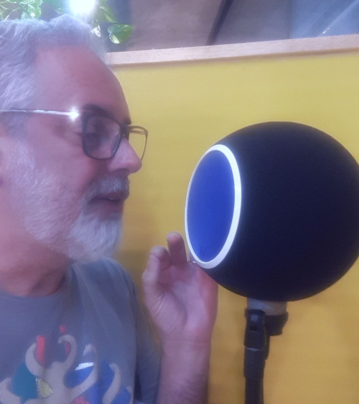 Especialista em mídias de voz durante workshop para profissionais