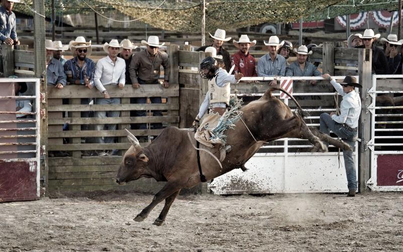 Peão montado em touro que empina no ar durante prova de montaria em rodeio, com vaqueiros e público observando ao fundo