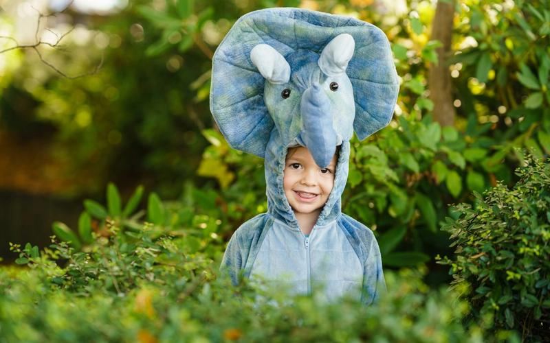 Criança sorrindo vestida com uma fantasia de pelúcia de elefante, ao ar livre entre folhagens.