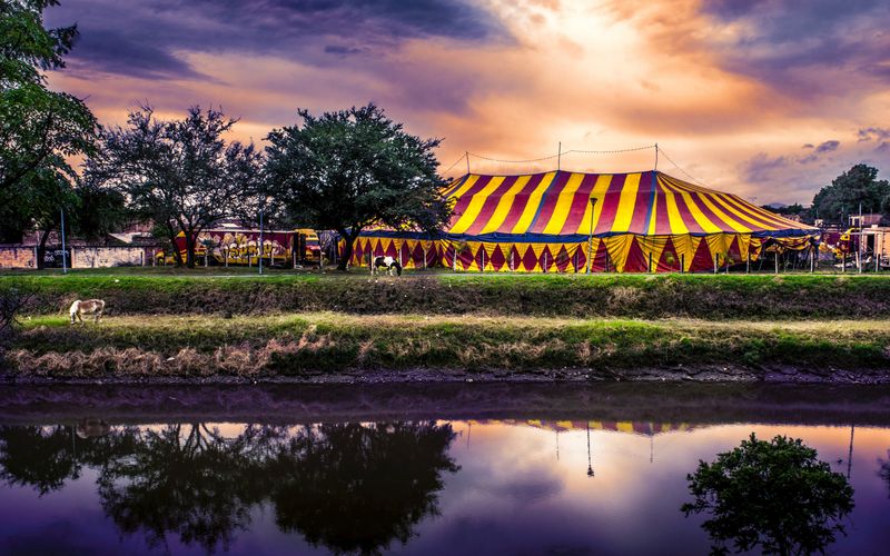 Artistas de circo em apresentação acrobática colorida e dinâmica