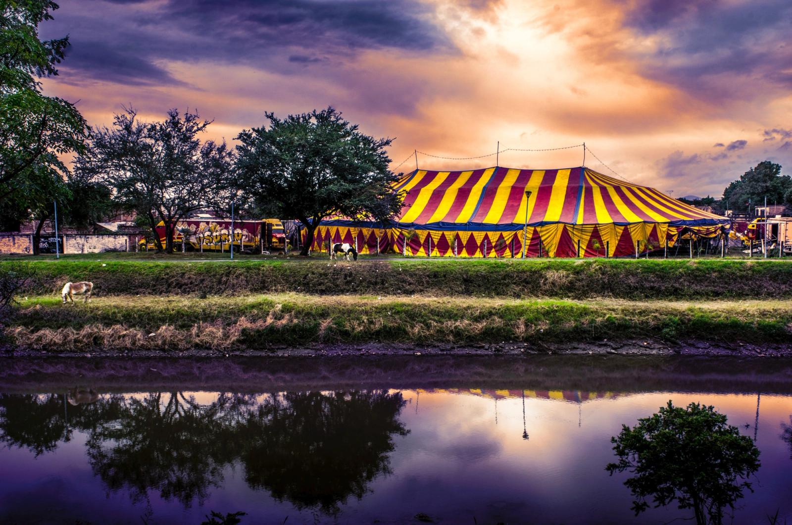 Artistas de circo em apresentação acrobática colorida e dinâmica
