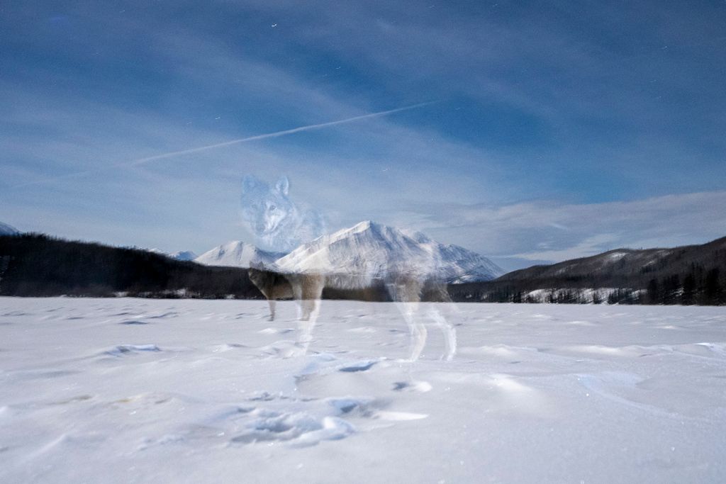 Cadeias montanhosas encobertas por neve com céu limpo ao fundo