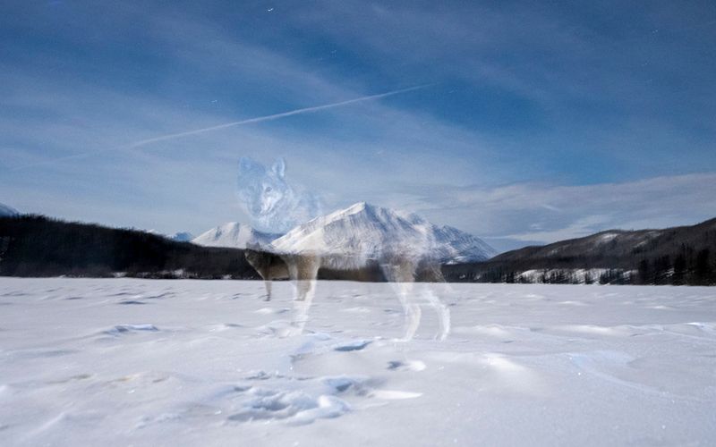 Cadeias montanhosas encobertas por neve com céu limpo ao fundo