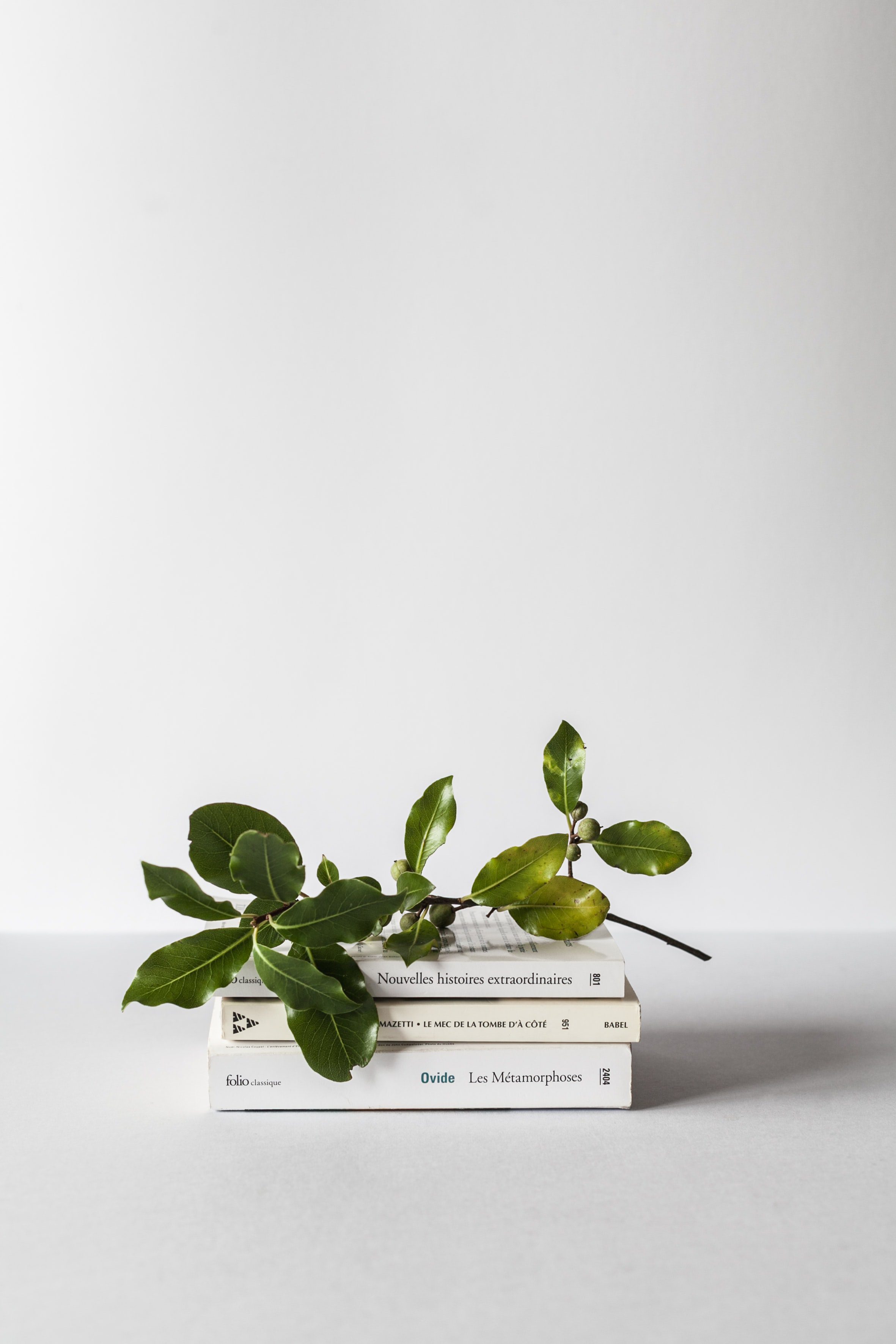 Livros de autoras femininas em destaque em Primavera dos Livros