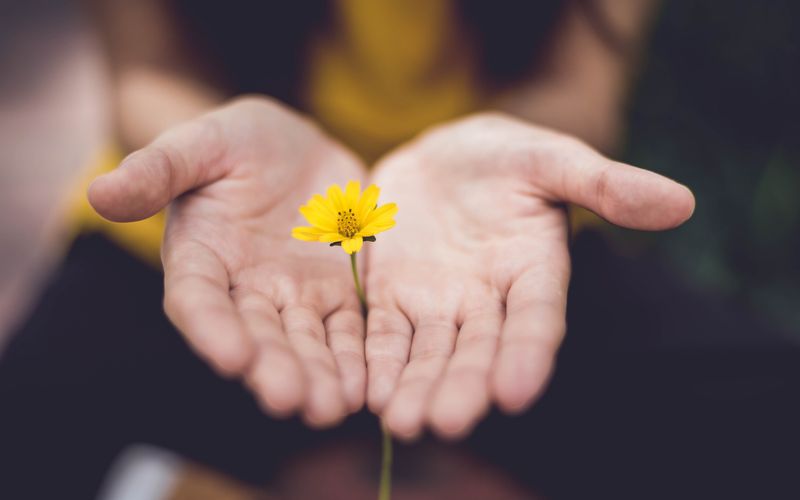 Pessoas unindo as mãos em gesto de solidariedade e doação social