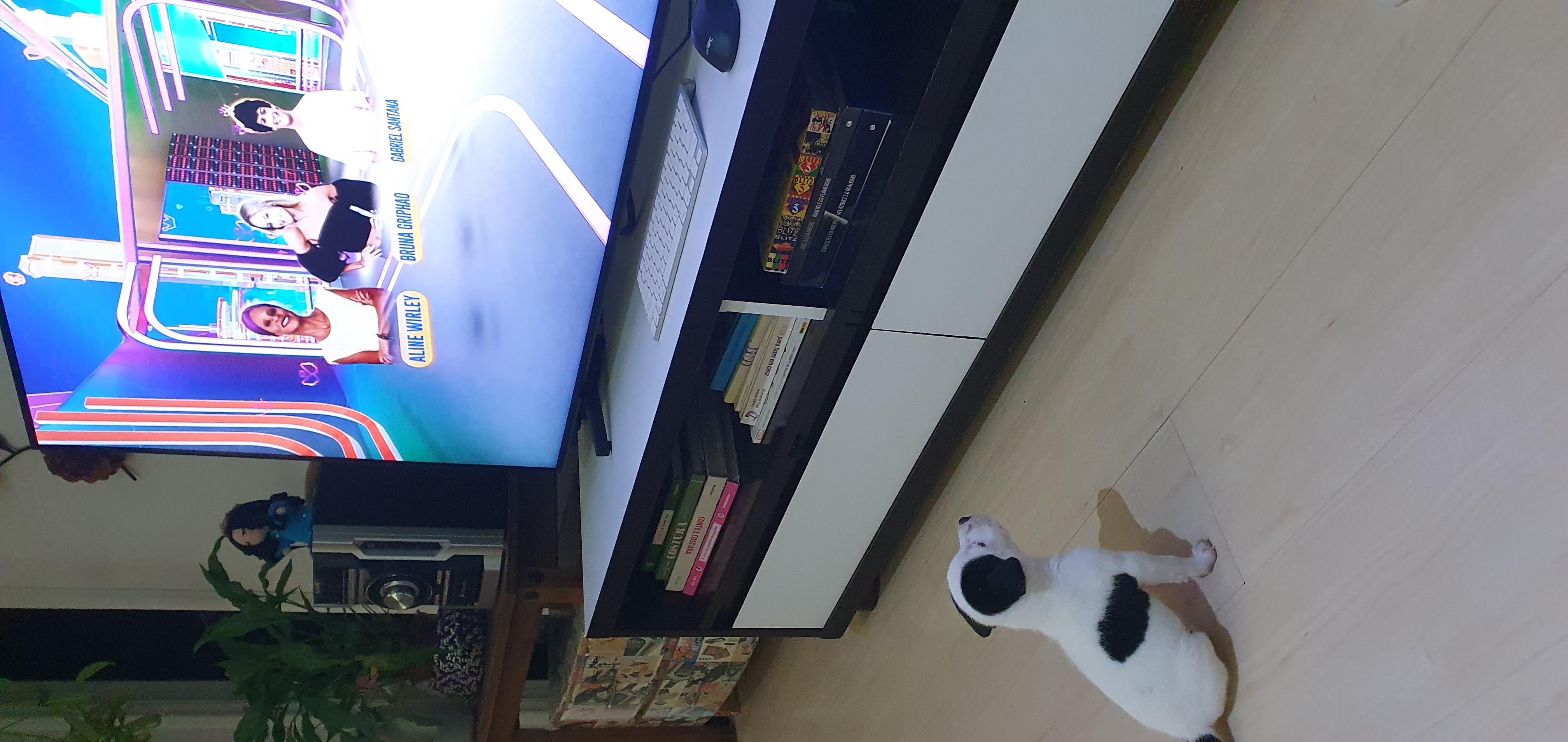 Casa com múltiplos ambientes iluminados durante gravação de reality show