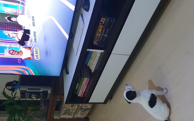 Casa com múltiplos ambientes iluminados durante gravação de reality show