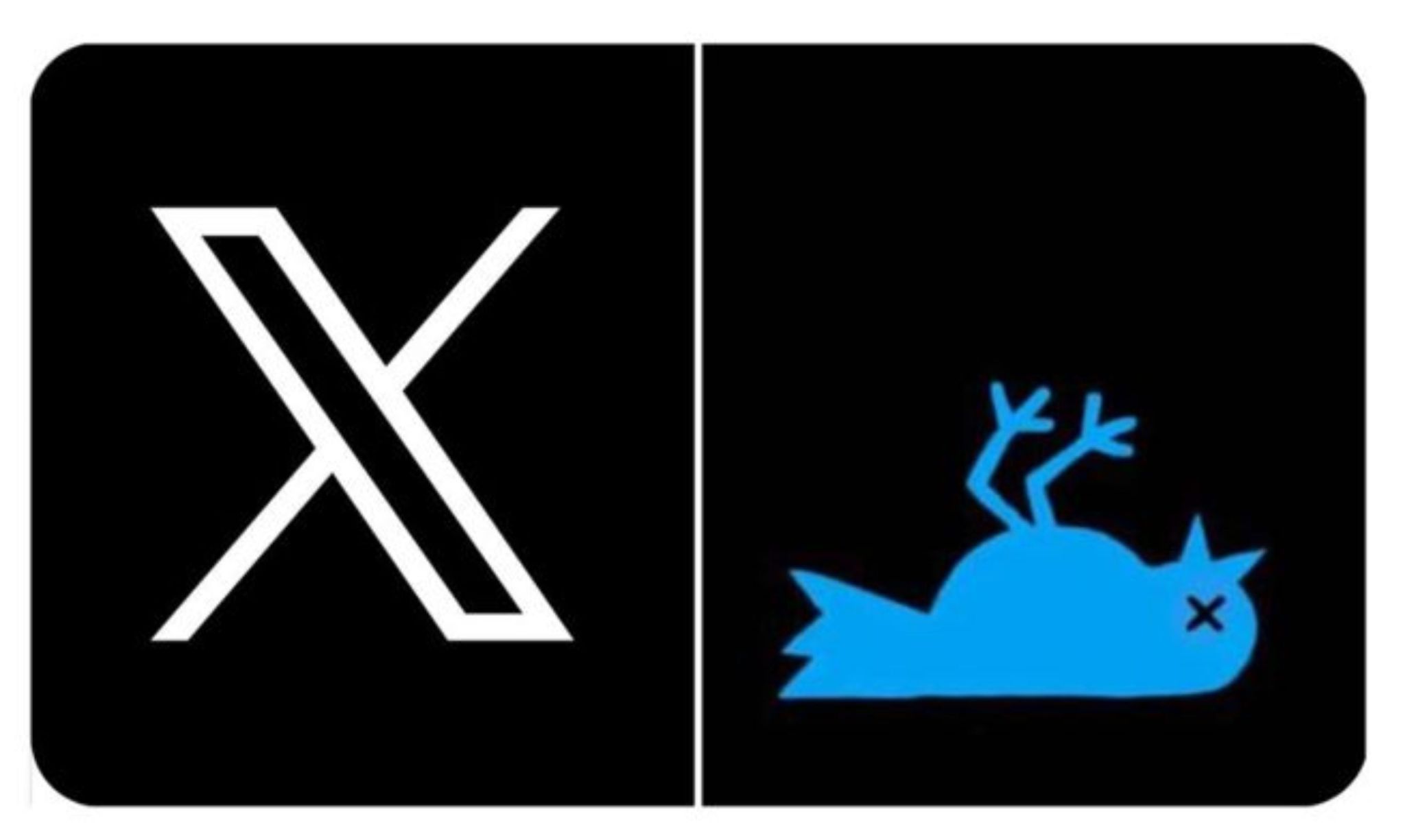 Novo logo X em contraste com identidade anterior do Twitter
