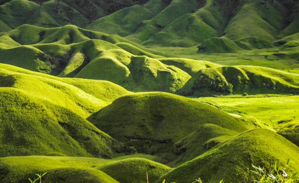 Top Destinations to See in Nagaland: Cultural & Scenic Travel Guide