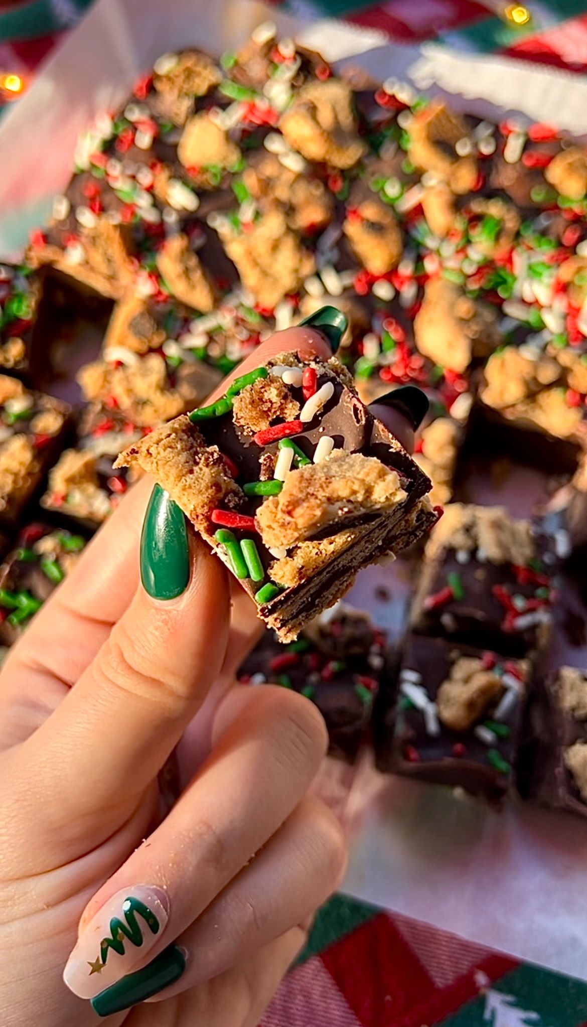 A picture of a hand holding chocolate chunk cookie fudge