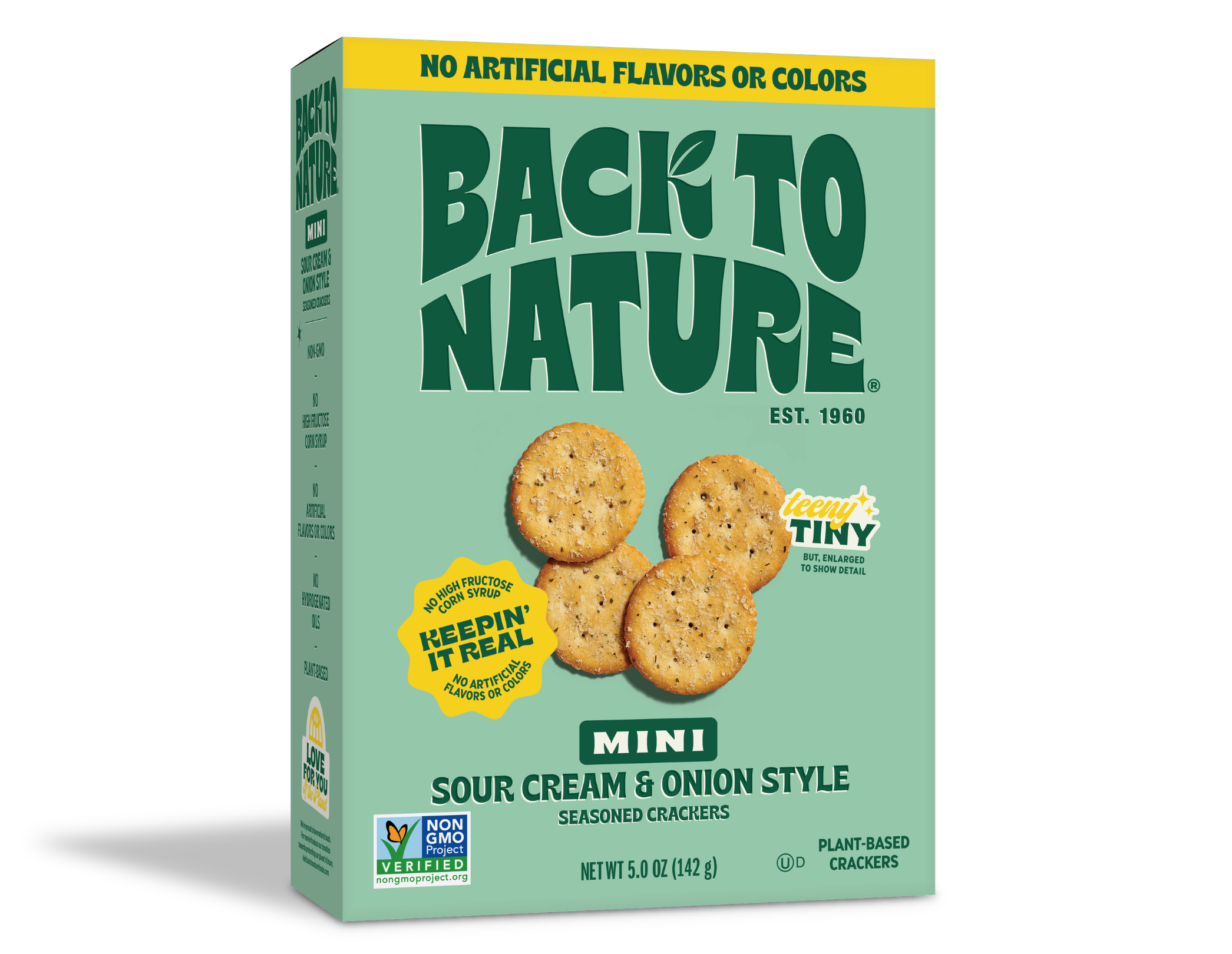 A light green box of Back to Nature mini seasoned sour cream and onion style crackers.