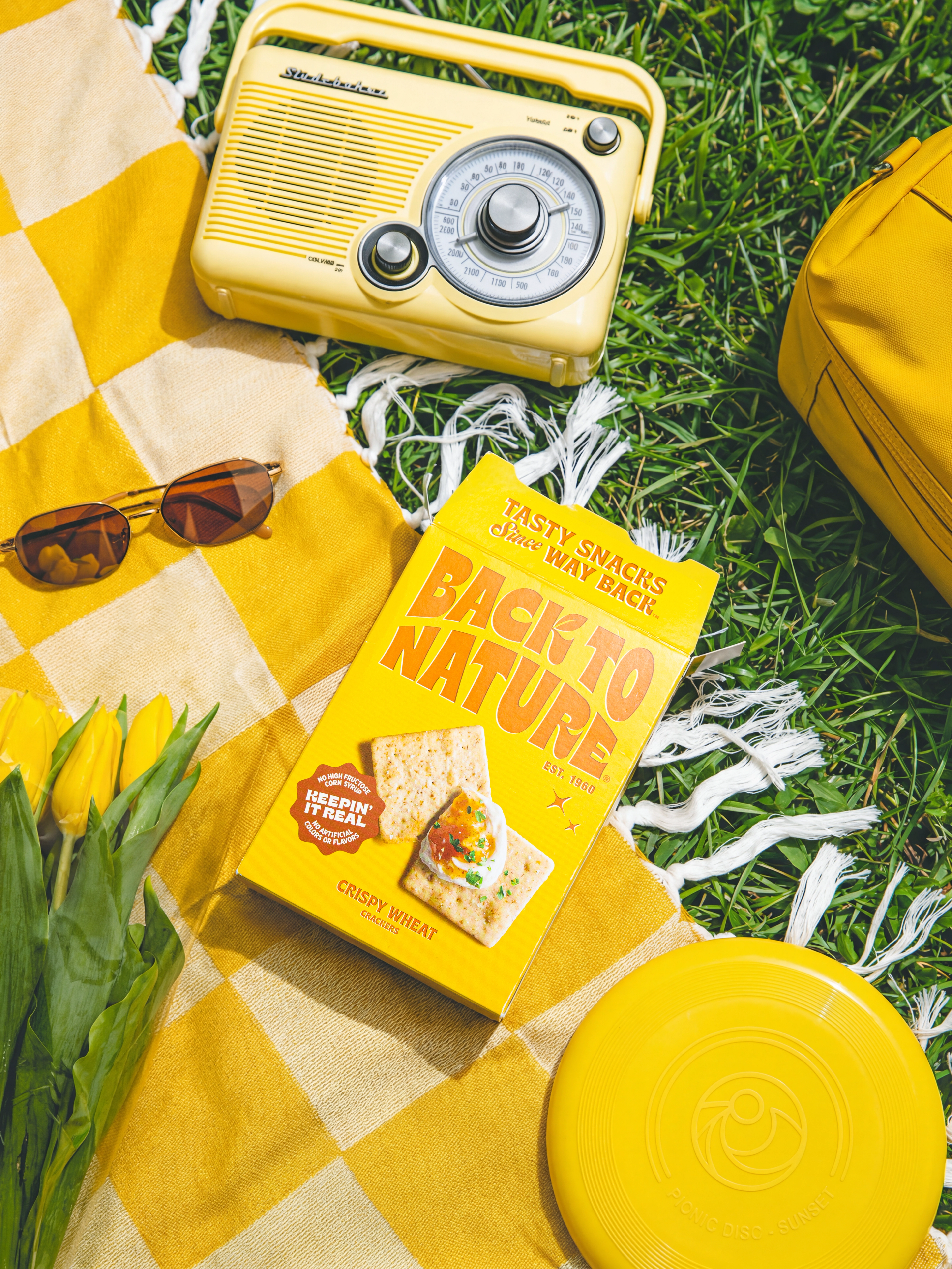 Crackers on a picnic blanket