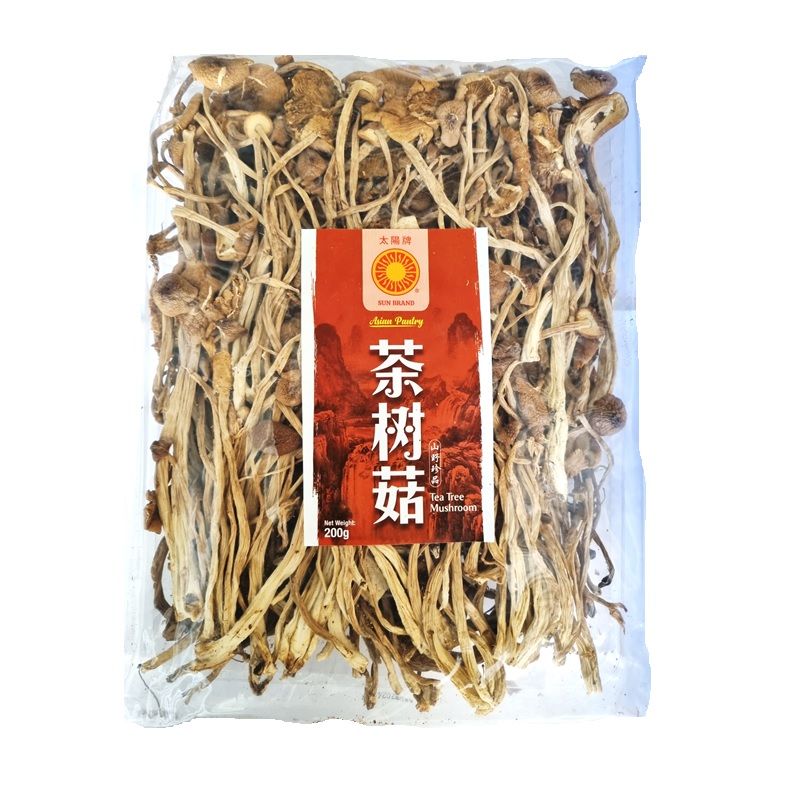 DRIED TEA TREE MUSHROOM