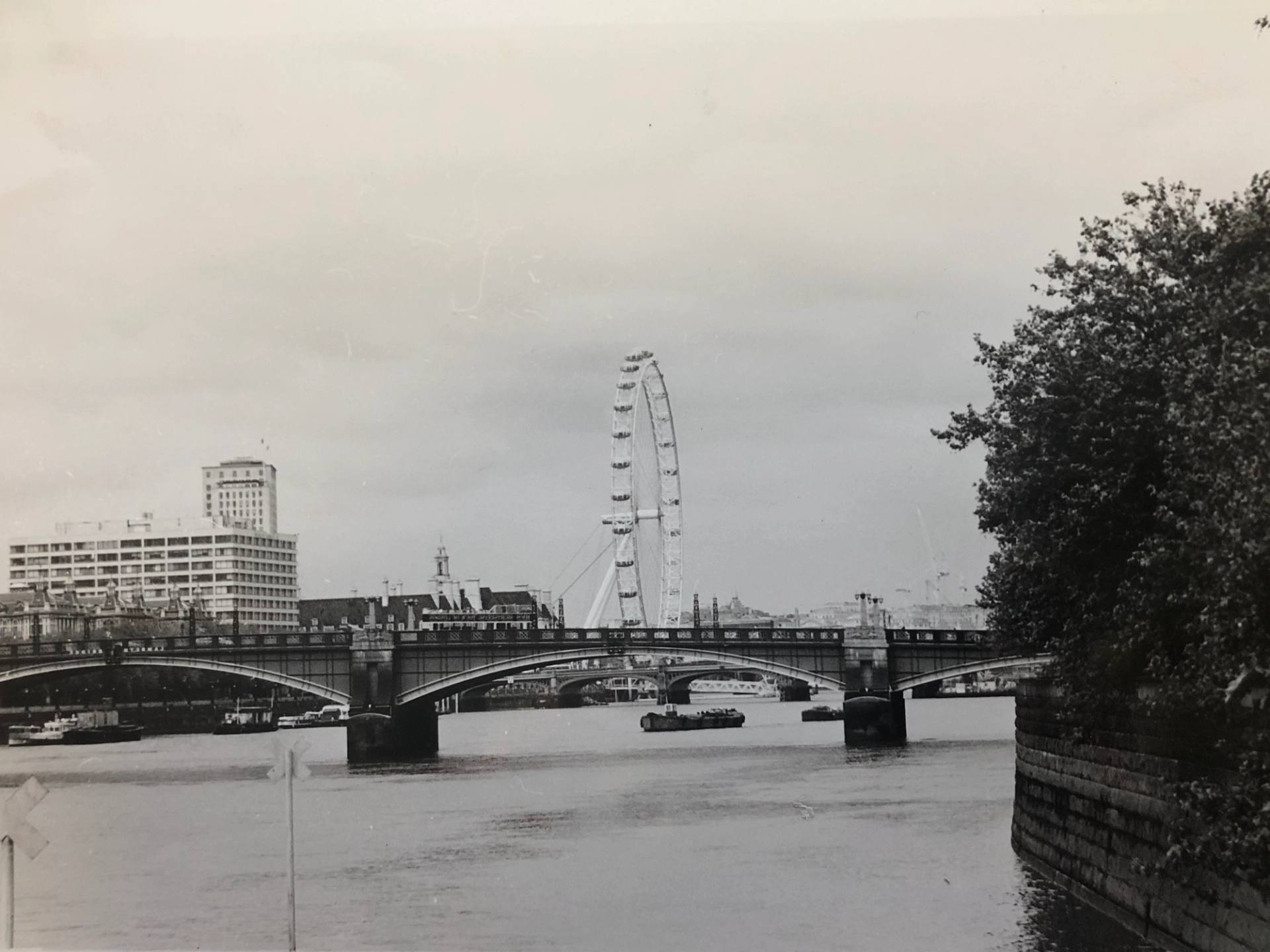 london eye in black and white