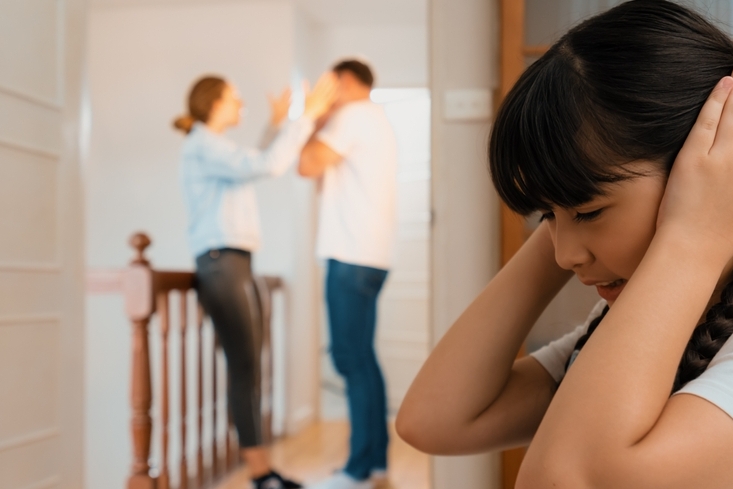 Image Domestic Violence and Family Law in Illinois
