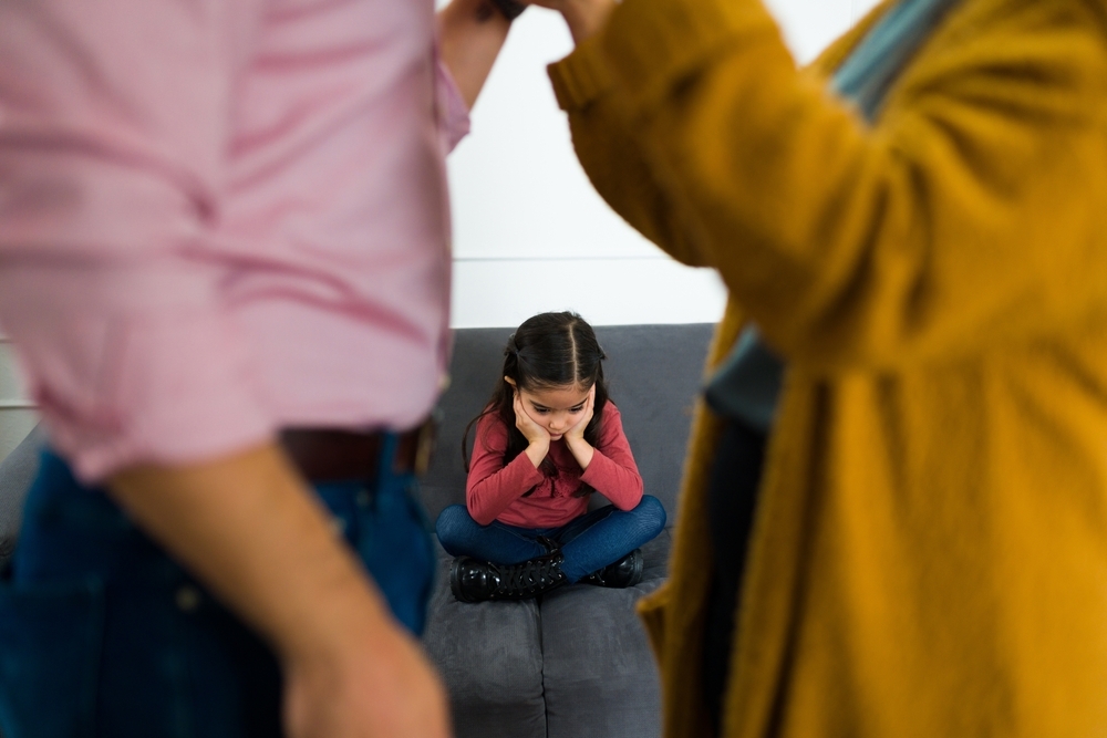 Image Understanding the Role of a Guardian ad Litem in Illinois Custody Disputes