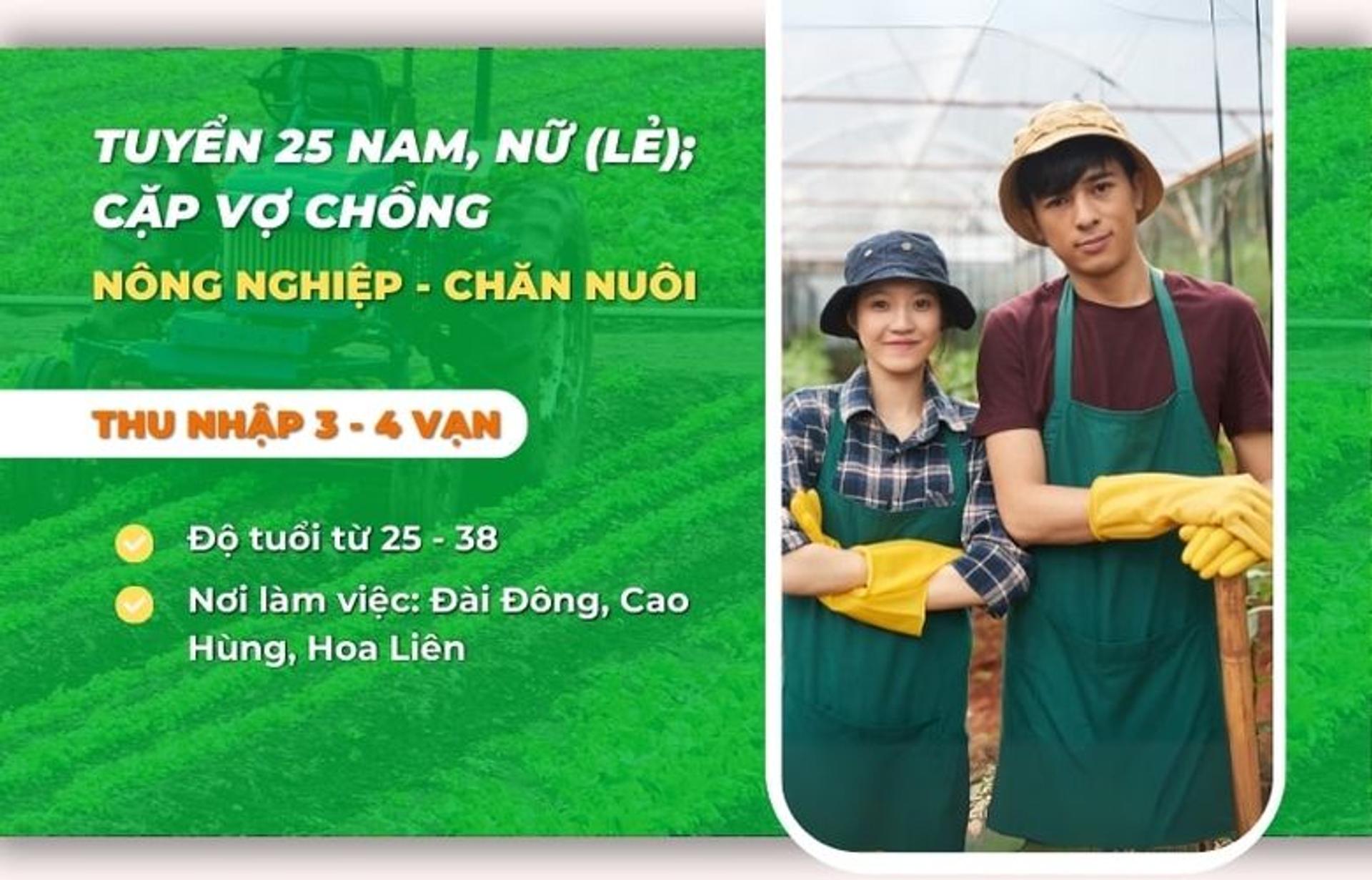 Việc làm Nông Nghiệp Đài Loan Tại Xã Cẩm Duệ – Việc Làm Ổn Định, Lương 25–30 Triệu/Tháng